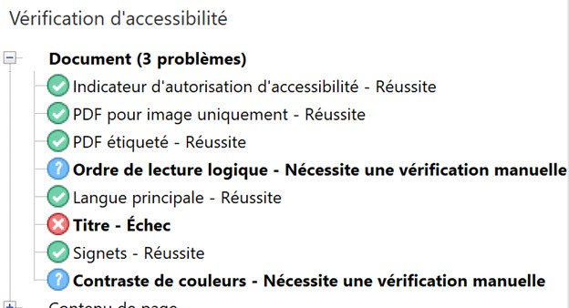 Capture d’écran du panneau de vérification de l’accessibilité avec les erreurs répertoriées.