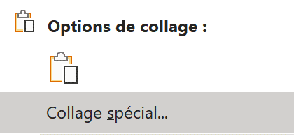 Capture d’écran des options de collage avec l’option Coller spécial sélectionnée.