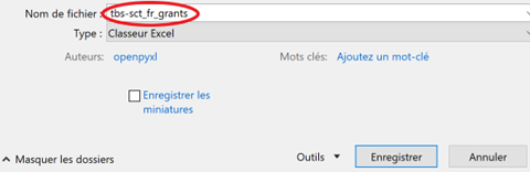 Capture d’écran de la fenêtre contextuelle Enregistrer sous. Le champ Nom du fichier est encadré et rempli par un exemple de nom de fichier.