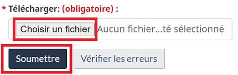 Capture d’écran du champ Télécharger. Les boutons Choisir un fichier et soumettre sont encadrés.